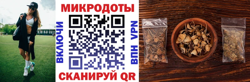 Псилоцибиновые грибы Psilocybe Каневская