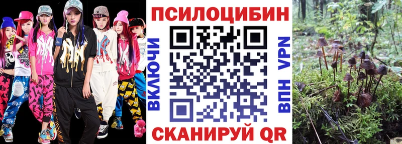 Галлюциногенные грибы Psilocybe  Купить где  Каневская 